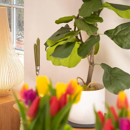 Apartment Idyllic Clifton Hideaway - Stunning Garden Flat Bristol