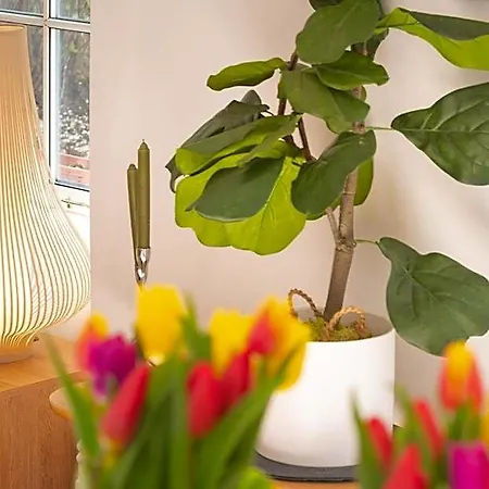 Idyllic Clifton Hideaway - Stunning Garden Flat 公寓 *